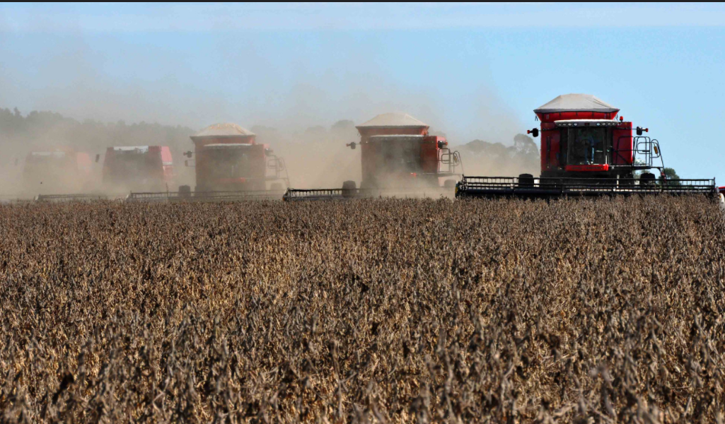Máquinas do agronegócio em campo de monocultura Máquinas do agronegócio em campo de monocultura