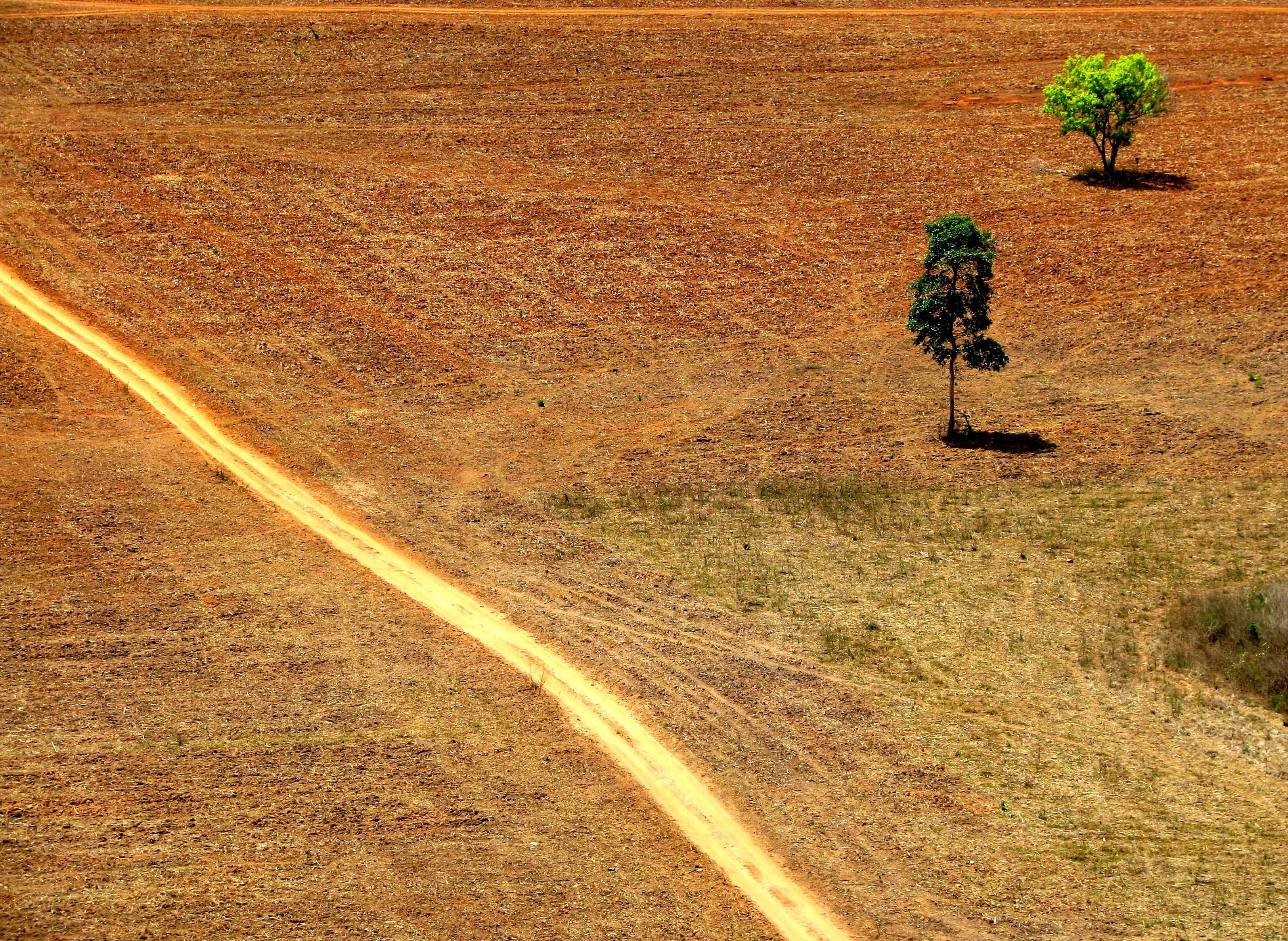 área desmatada na Amazônia área desmatada na Amazônia
