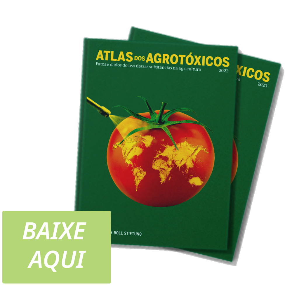 Política de terreiros e política para terreiros: violações, reconhecimento  de direitos, espaço público e resistências dos “povos tradicionais de  matriz africana”