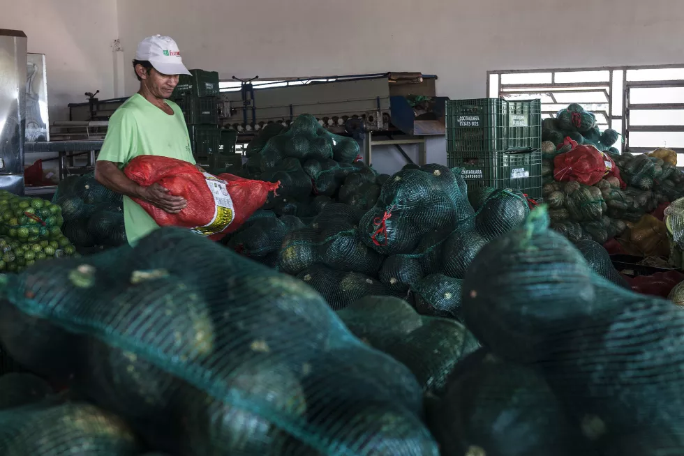 Governo reforça combate ao desmatamento ilegal no município de Colniza em  audiência pública :: Notícias do Agronegócio - AgroOlhar