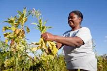 Ivani Soares, agricultora quilombola.