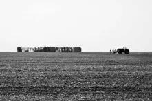 Impactos socioambientais da Financeirização da terra no MATOPIBA. Foto: Rosilene Miliotti / FASE