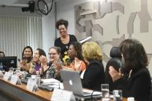 CMCVM - Comissão Permanente Mista de Combate à Violência contra a Mulher