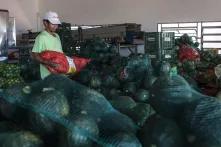 Desmonte de políticas públicas