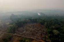 Regularização fundiária