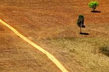 área desmatada na Amazônia 