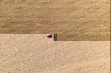 Colheita com máquina agrícola em uma plantação de monocultura