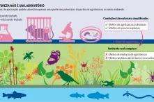 Infográfico: A natureza não é um laboratório