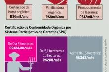 Infográfico - Os custos para produzir sem veneno