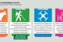 Infográfico - Os passos que transformam o cultivo