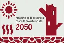 Amazônia pode atingir seu ponto de não retorno até 2050