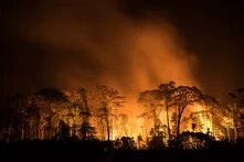 Queimada - Foto: Bruno Kelly/Amazônia Real/10/08/2020
