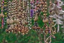 Colares Dessana Tukana, tribo indígena