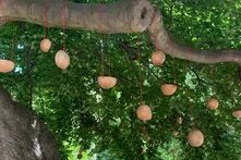 arquivo pessoal. Instalação de Roseane Cadete - Ko’eyene Festival Theaterformen, Braunschweig Jun 2024