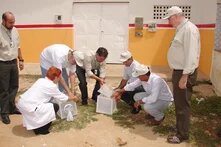1ª Liberação do programa de controle genético do Mosquito Aedes Aegypti