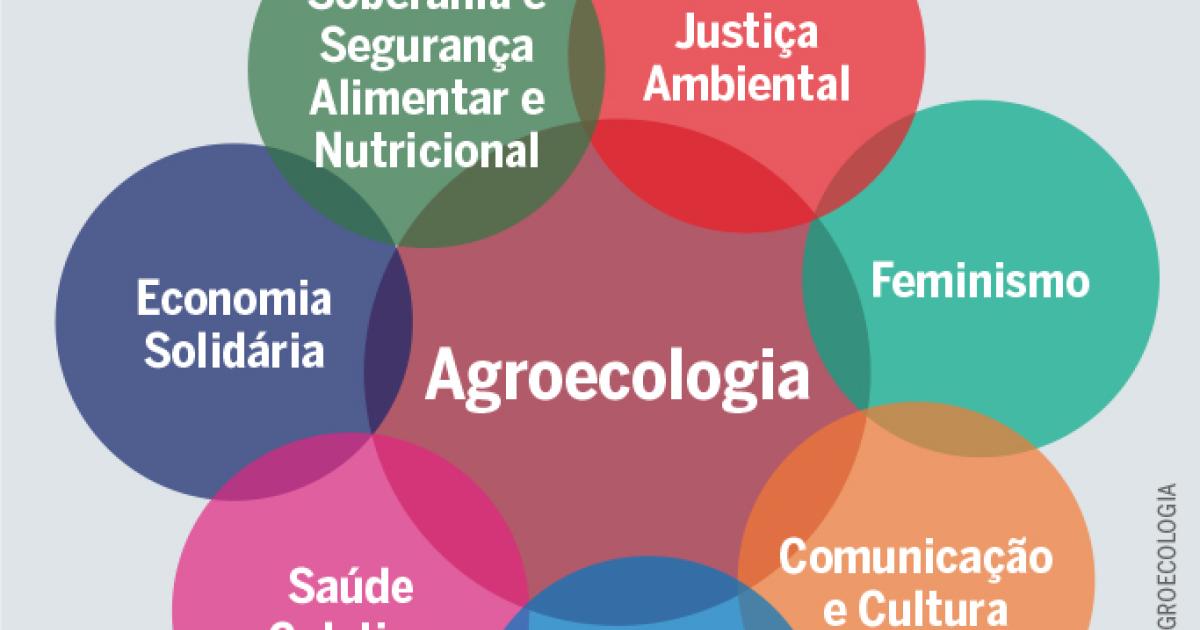 Agroecologia No Brasil Heinrich Boll Stiftung Rio De Janeiro Office