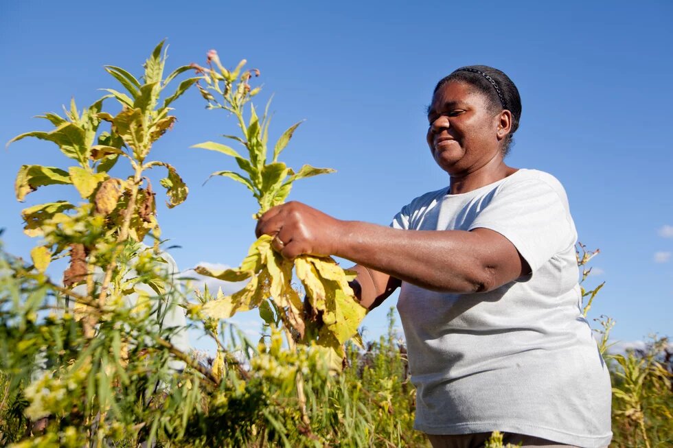 Ivani Soares, agricultora quilombola.