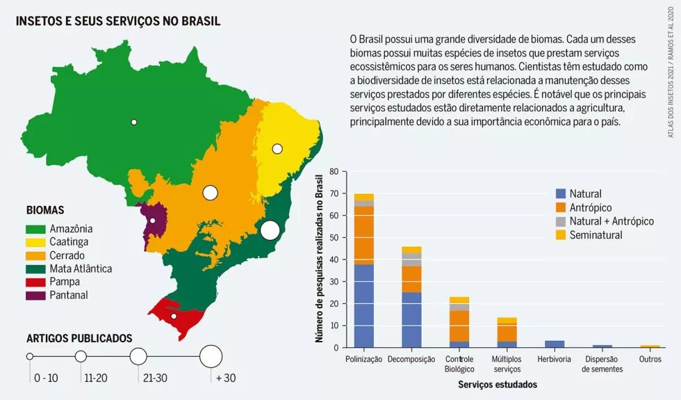 Insetos e seus serviços no Brasil