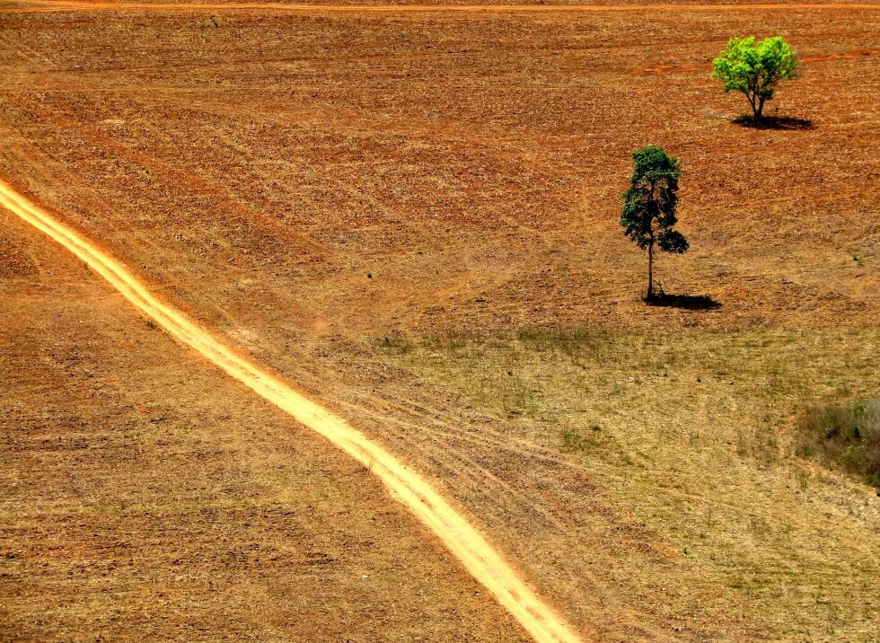 área desmatada na Amazônia 