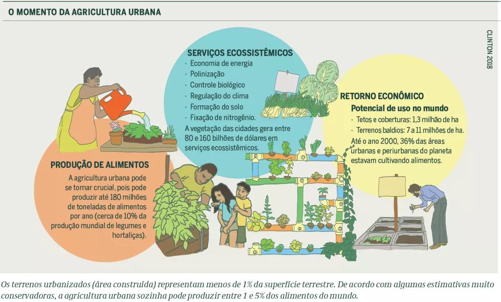 O momento da agricultura urbana