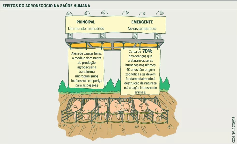 Efeitos do agronegócio na saúde humana