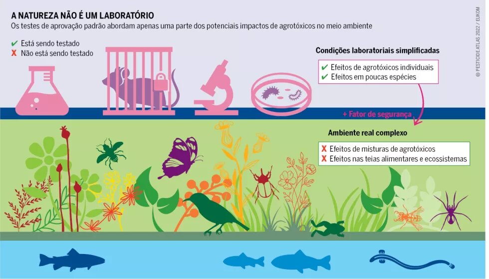 Infográfico: A natureza não é um laboratório