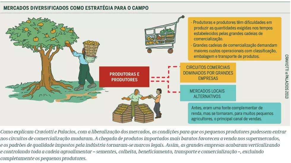 Gráfico 1 - Mercados diversificados como estratégia para o campo