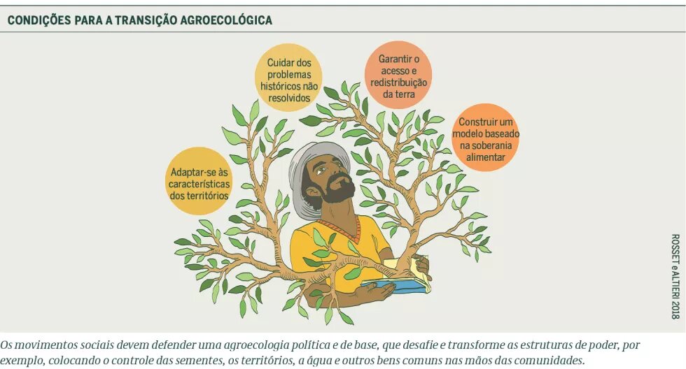 Gráfico 1 - Condições para a transição agroecológica