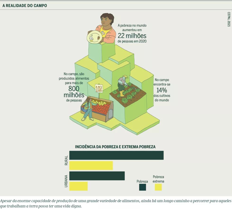 Gráfico - A Realidade do Campo