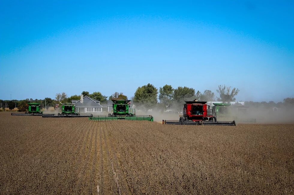 Agrotóxico no campo 