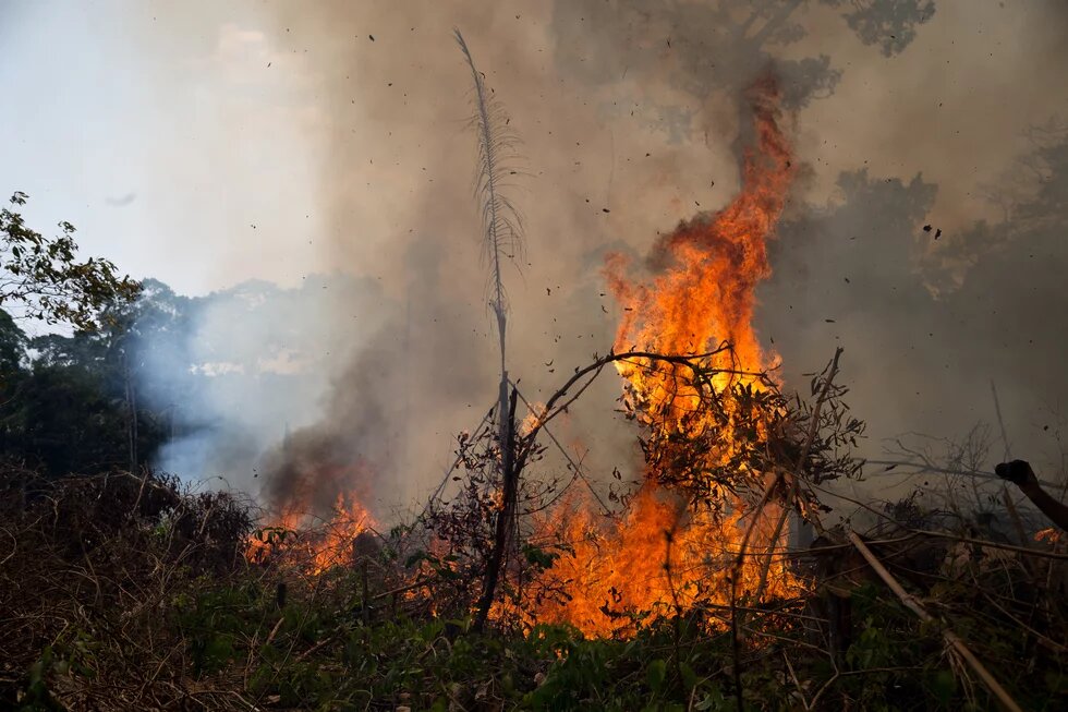 Brigada Amazônia - Rota Chico Mendes • 15 a 20/09/2019 • Acre