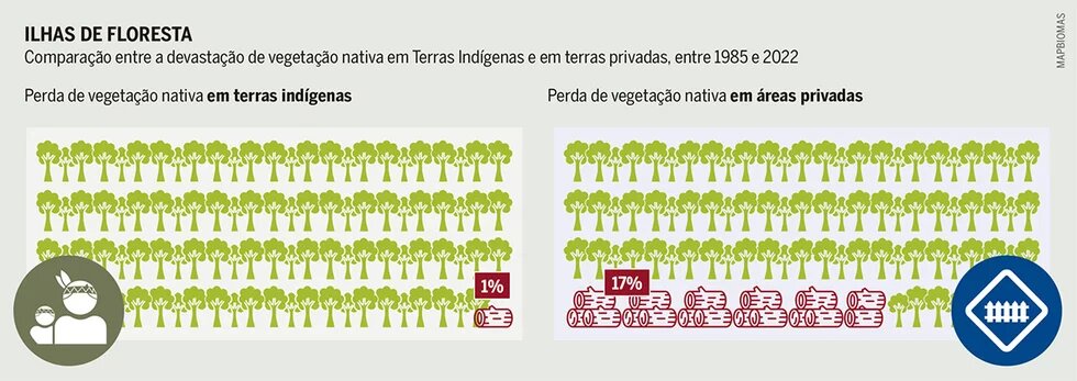 Ilhas de floresta Ilhas de floresta