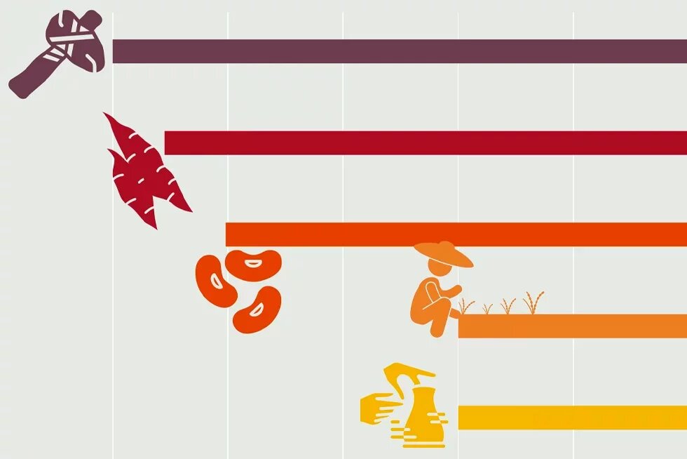 Ilustração