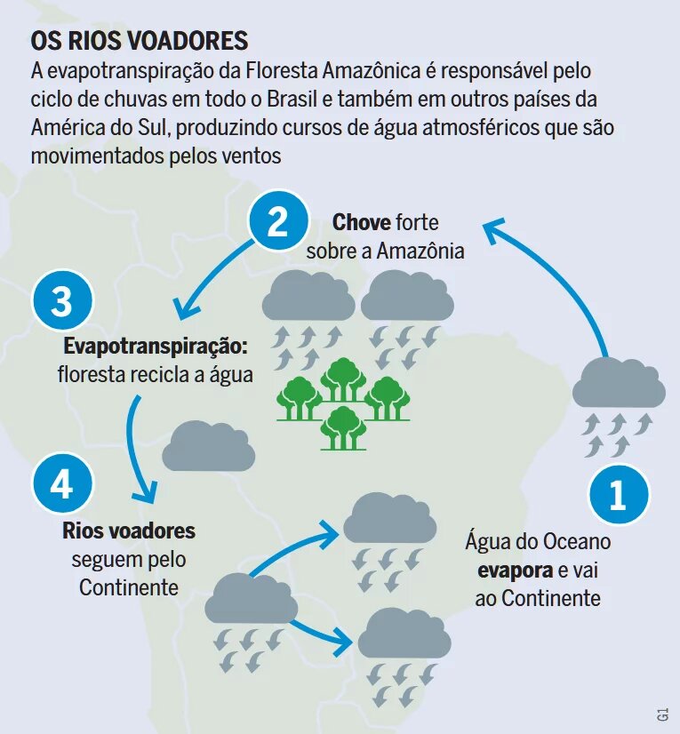 A Floresta Amazônica é fundamental para a formação das chuvas no continente. Com o avanço do desmatamento, todo o regime pluviométrico é impactado, causando extensos danos socioambientais. A Floresta Amazônica é fundamental para a formação das chuvas no continente. Com o avanço do desmatamento, todo o regime pluviométrico é impactado, causando extensos danos socioambientais.