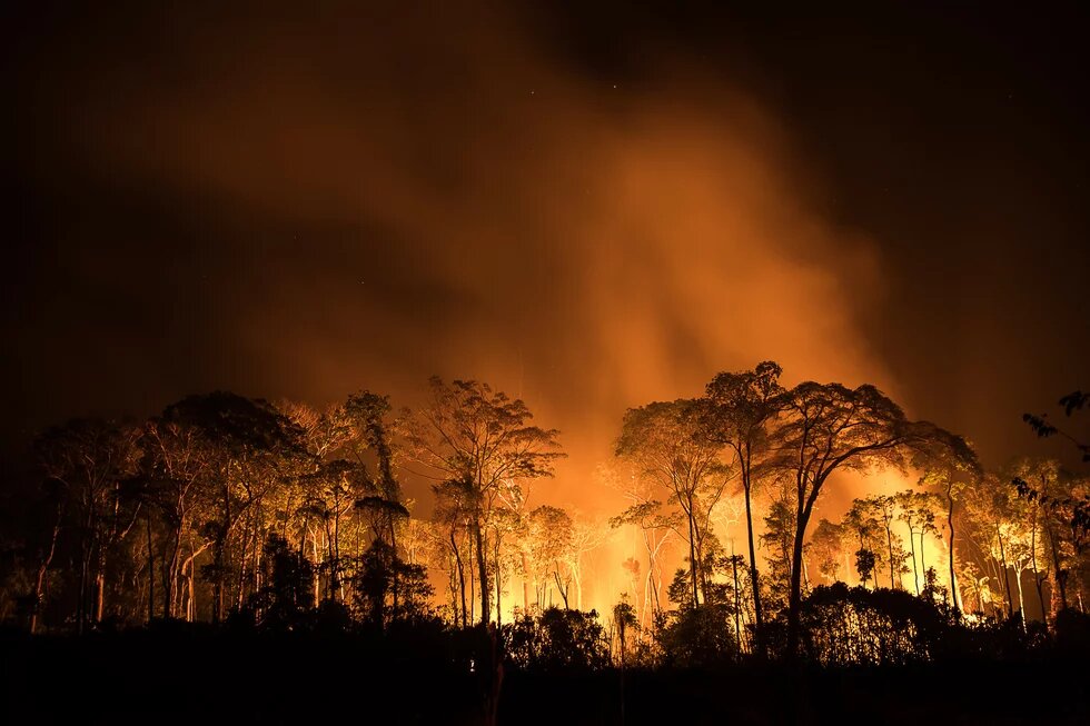Queimada - Foto: Bruno Kelly/Amazônia Real/10/08/2020