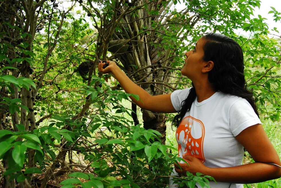 Florisvaldo Mercês Guimarães da Silva e  Virlene Sampaio Rios Guimarães agricultores da Fazenda Retiro, em Pintadas-BA. Projeto Adapta Sertão.