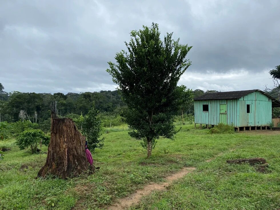 Uma casa no Seringal Guanabara, Reserva Extrativista Chico Mendes - foto de Claudia Pinzón