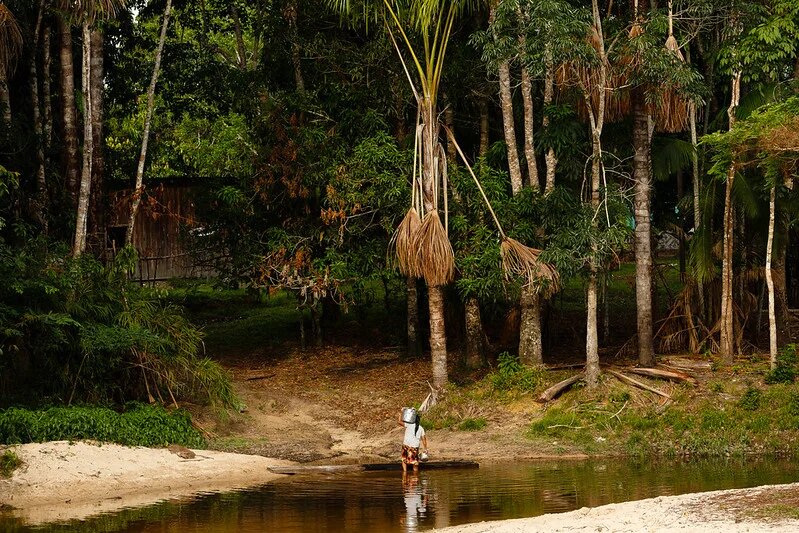 Pessoa de comunidade ribeirinha coletando água na margem de um rio cercado pela densa vegetação da Floresta Amazônica