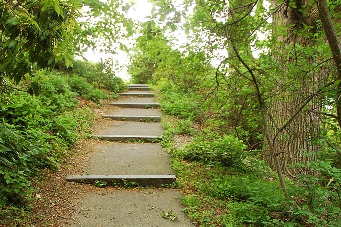 Um caminho sustentável