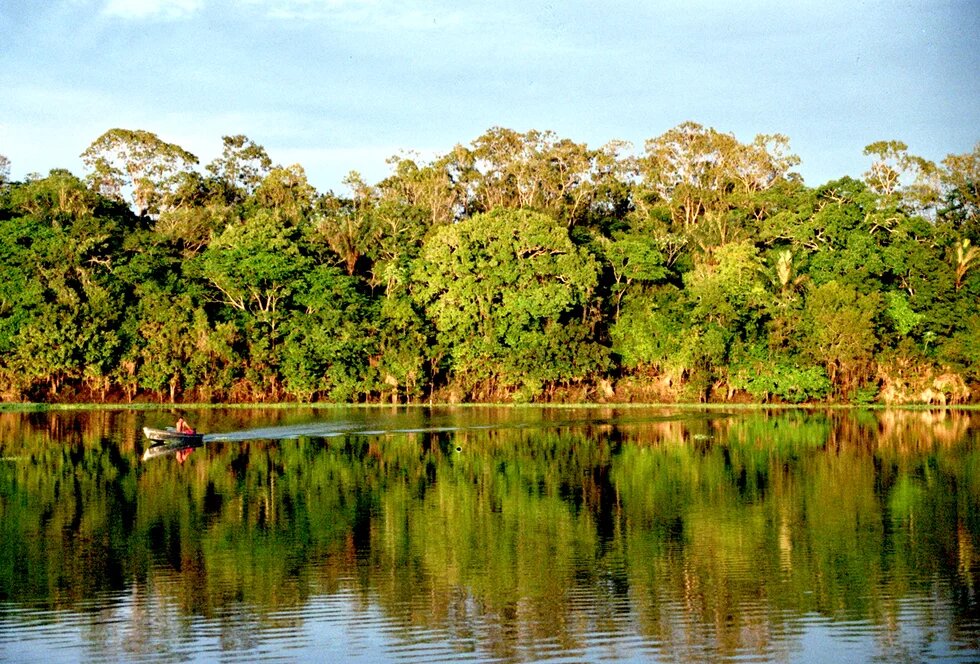 Rio Urubu, Amazônia, Brasil Rio Urubu, Amazônia, Brasil