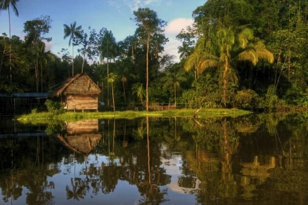 Amazônia Amazônia