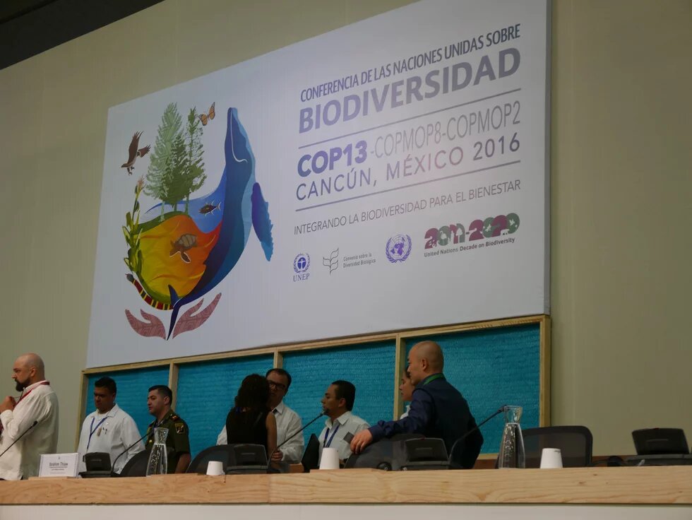 COP 13 Cop 13