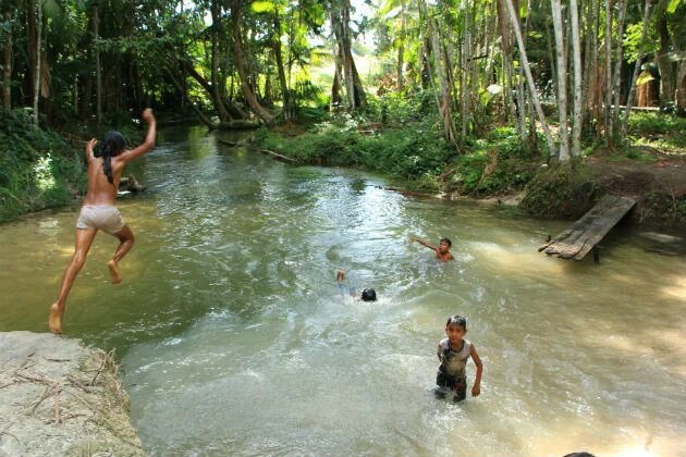 Crianças brincam na floresta amazônica. Crianças brincam na floresta amazônica.