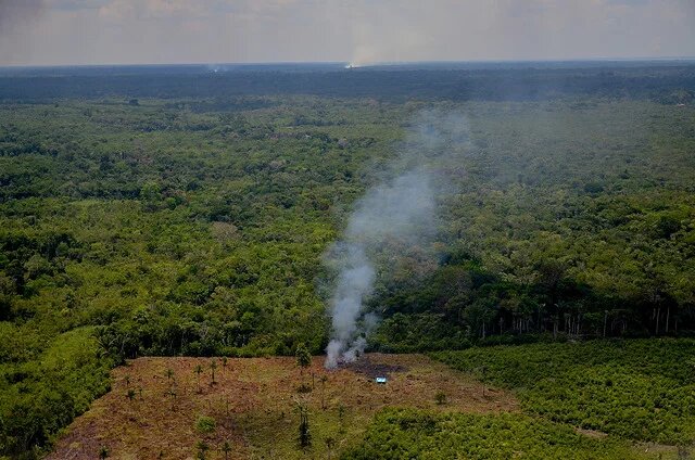 Devastação na Amazônia