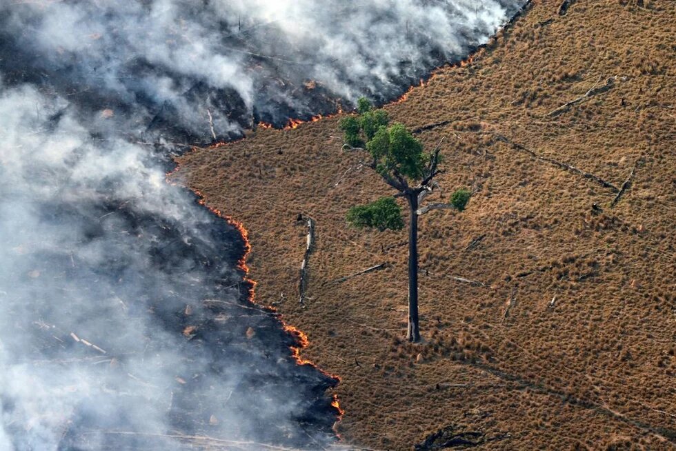 Queimada na Amazônia