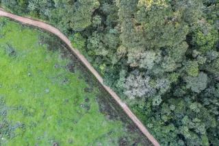 Contraste de área desmatada e cobertura florestal