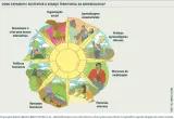 Infográfico - Como expandir e sustentar o avanço territorial da agroecologia?