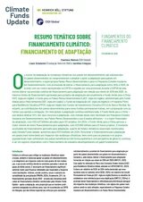 RESUMO TEMÁTICO SOBRE FINANCIAMENTO CLIMÁTICO: FINANCIAMENTO DE ADAPTAÇÃO