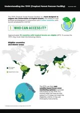 Capa - Understanding the TFFF (Tropical Forest Forever Facility) Sept