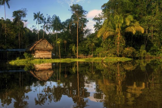 Amazônia Amazônia